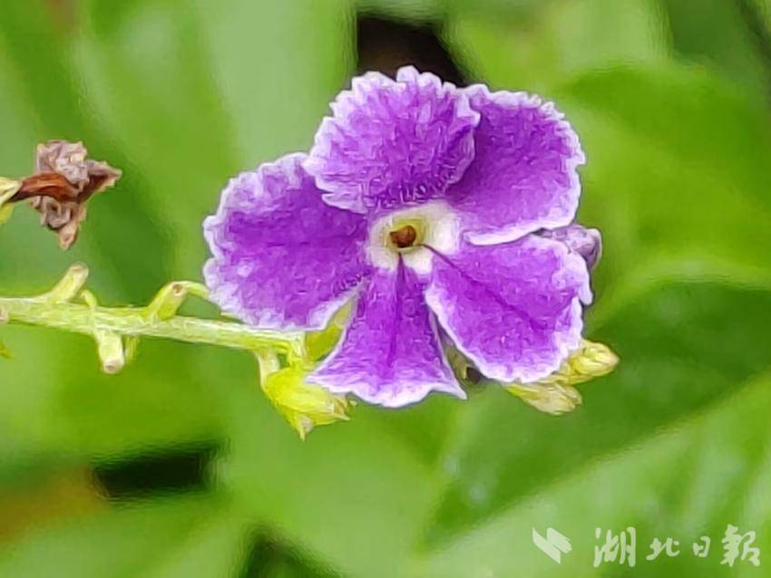mg线上游戏试玩